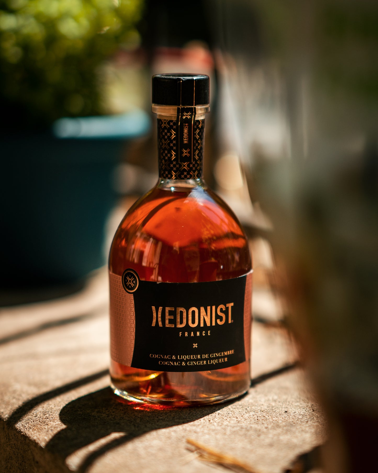 Hedonist Liqueur Cognac et Gingembre